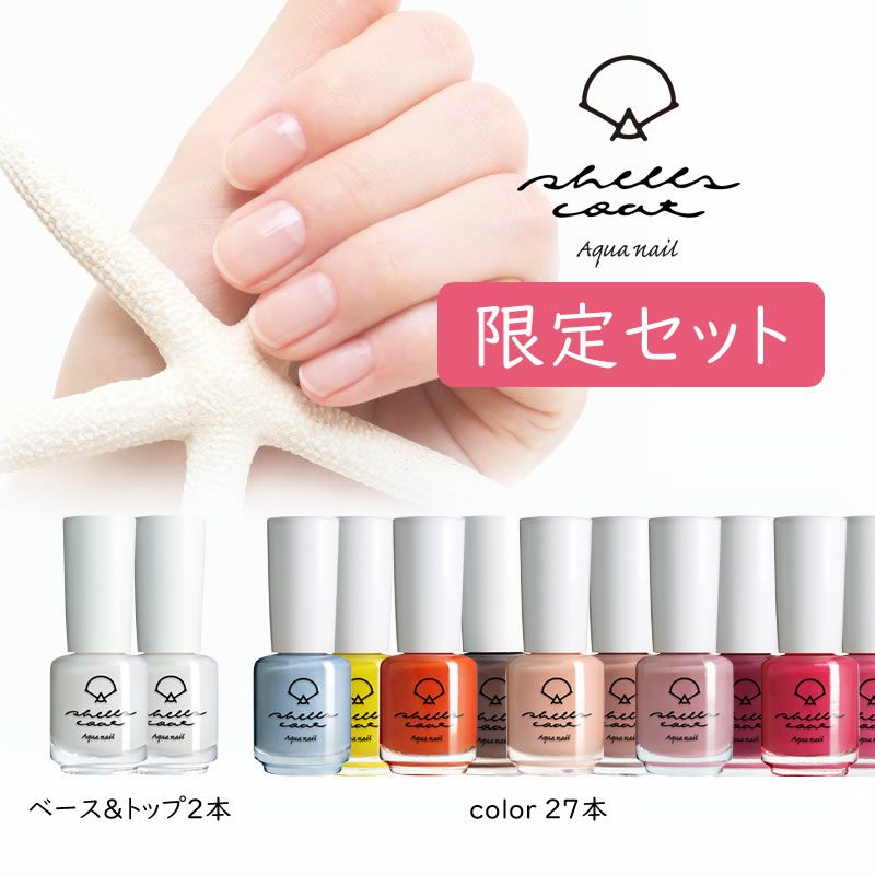 水性ネイル（シェルズコート） | nail for all